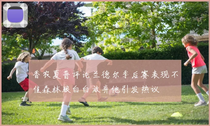 香农夏普评论兰德尔季后赛表现不佳森林狼白白放弃他引发热议
