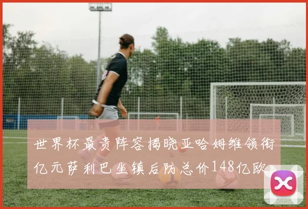 世界杯最贵阵容揭晓亚哈姆维领衔亿元萨利巴坐镇后防总价148亿欧